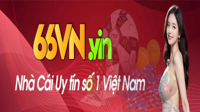 66vn 1