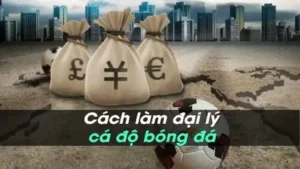 Kinh Nghiem Lam Dai Ly Ca Do Bong Da 4